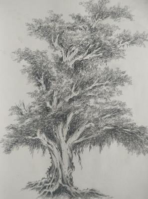 曹君画作